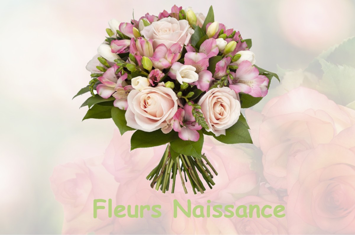 fleurs naissance ORNACIEUX